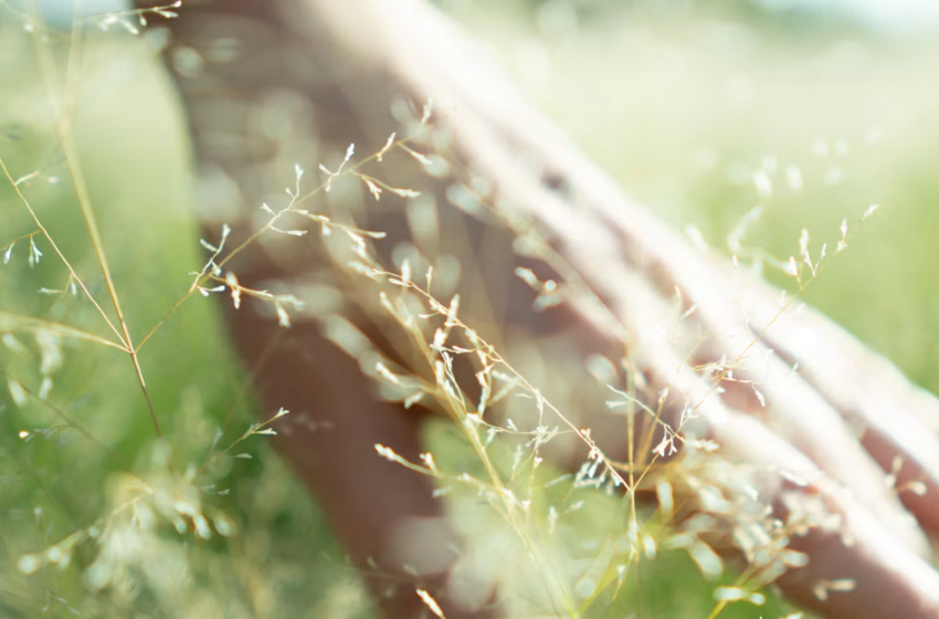  Strategie e Tecniche per la Nature Restoration Law